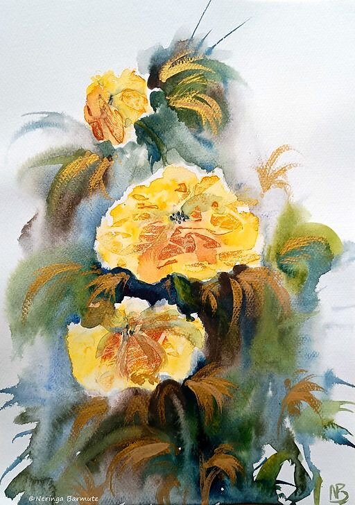 Yellow Roses. A4