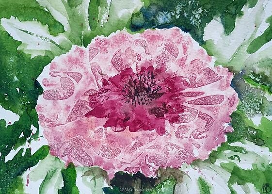 Pink flower. A5