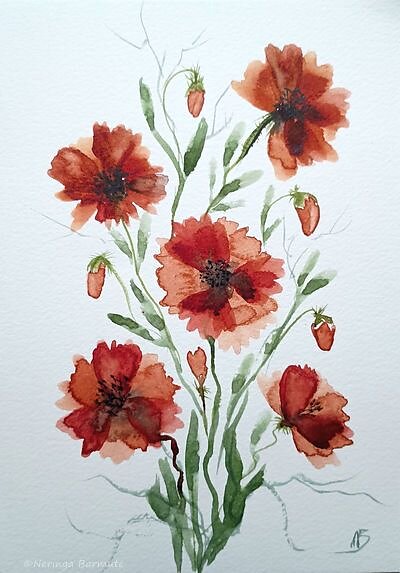 Poppies. A5