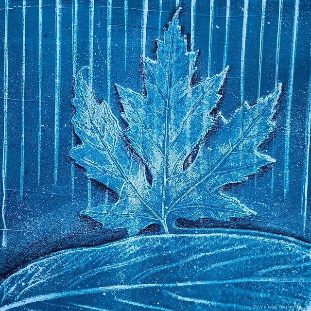 Gel print - Blue